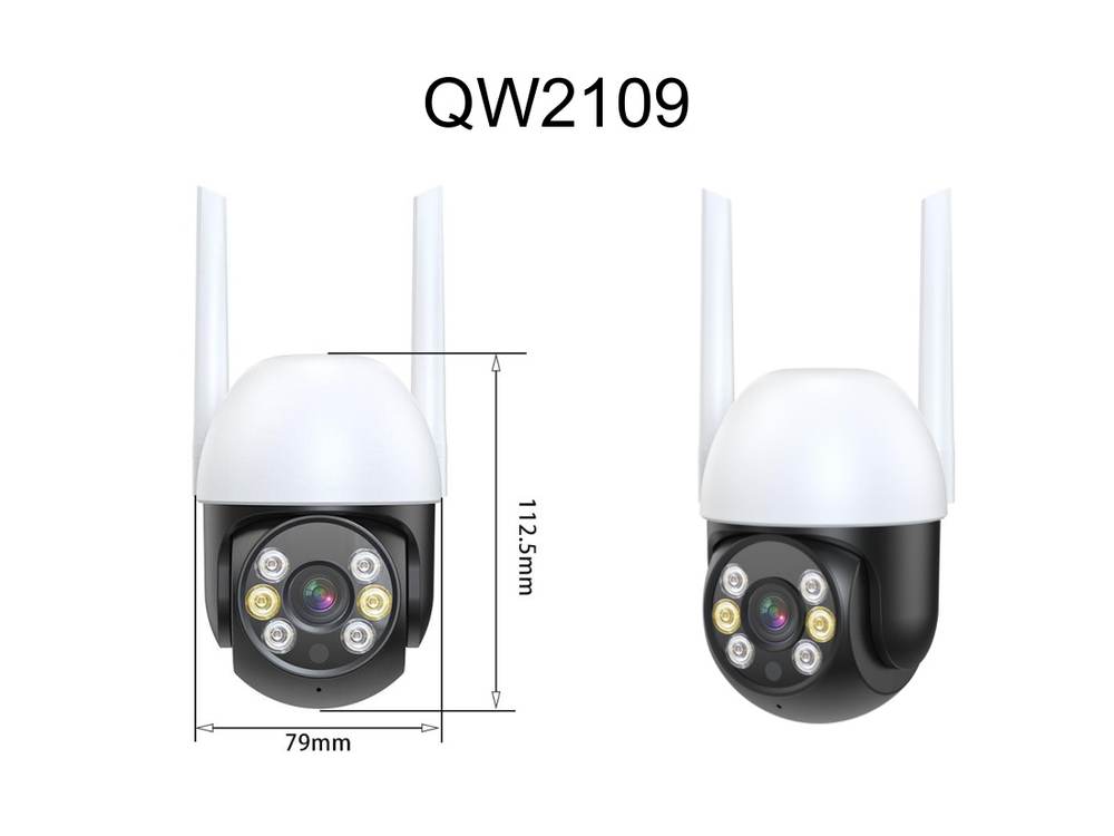QW2109 Security Camera