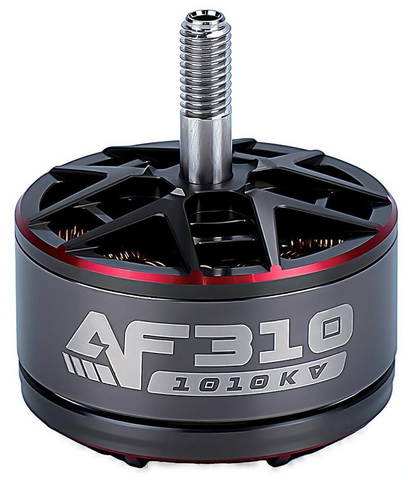 AF 310