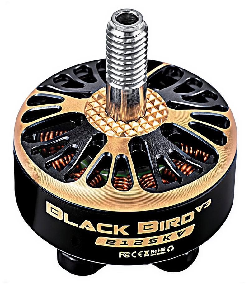 Black Bird V3